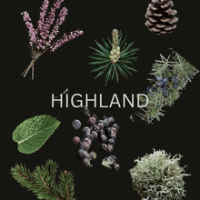 Highland - Mint, Juniper & Scots Pine - Apothecary Soy Candle - 220ml