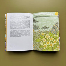 The Book of Wild Flowers
