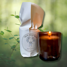 Wild, Wild Moss – Juniper, Fir Needle & Verbena - Luxury Soy Candle - 390 ml