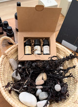 Set of small bottles with labels in a cardboard box, surrounded by seaweed and stones on a woven surface.