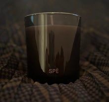 Wild, Wild Moss – Juniper, Fir Needle & Verbena - Luxury Soy Candle - 390 ml