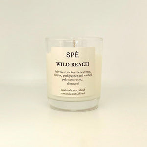 CUSTOM HOLIDAY NATURE MIST (ROOM SPRAY) BUNDLE OF 12