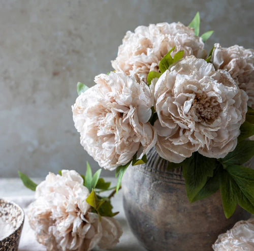 Abigail Ahern Peony, Evening Dew Faux Flower