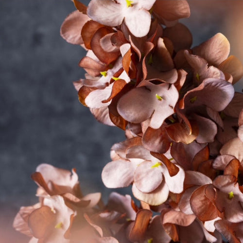 Abigail Ahern Antique Pink Hydrangea Flower