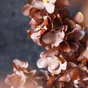 Abigail Ahern Antique Pink Hydrangea Flower