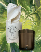 Wild, Wild Moss – Juniper, Fir Needle & Verbena - Luxury Soy Candle - 390 ml