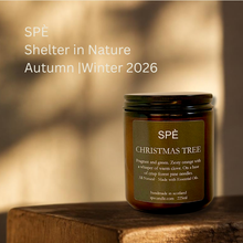 Christmas Tree - Clementine, Clove & Pine Needle - Apothecary Soy Candle - 220ml