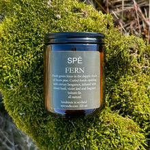 Fern - Crisp and Green - Apothecary Soy Candle - 220ml