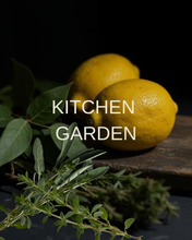 Kitchen Garden - Herbaceous - Apothecary Soy Candle - 220ml