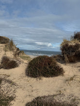 Wild Beach Tea by SPÈ Atelier.
Made with Blackthorn Scottish Seas Salt Flakes Available at SPÈ Atelier - Logie Steading 
