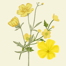 Buttercup - Neroli & Lemon Myrtle  NATURE THERAPY OIL - 10ml